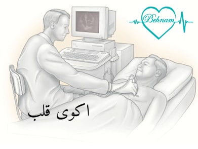 اکوی قلب در کلینیک تخصصی
